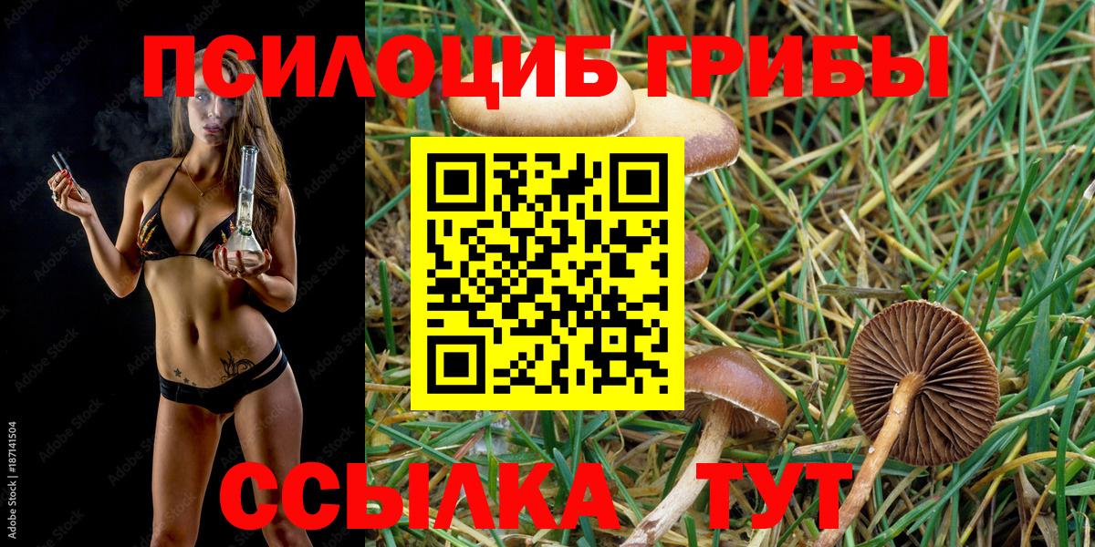 Галлюциногенные грибы мухоморы Черногорск
