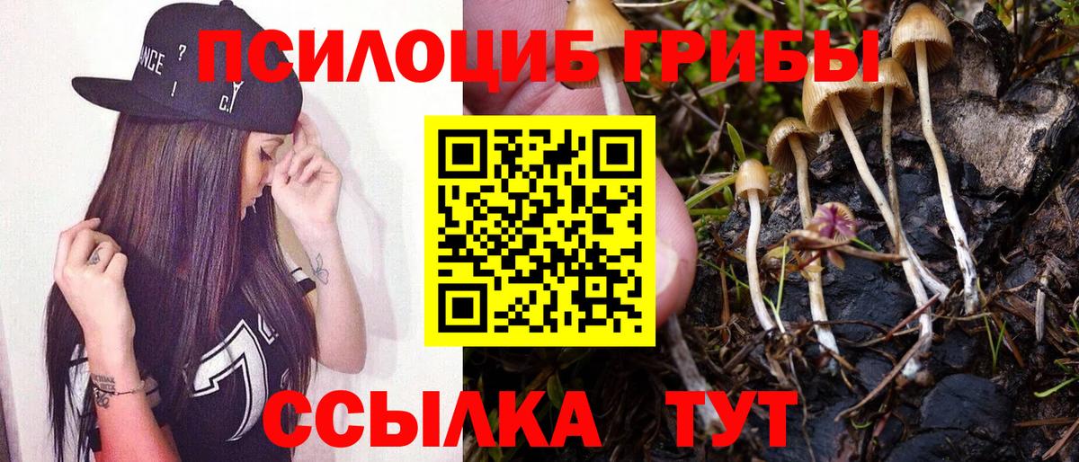 цены   Галлюциногенные грибы прущие грибы  Вход с VPN  Черногорск  Псилоцибиновые грибы Magic Shrooms 